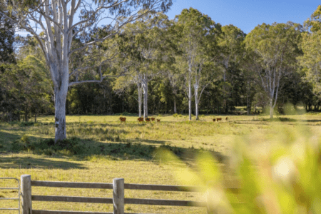 The Farm - Noosa Hinterland